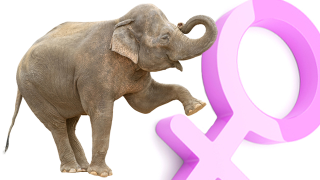 GOP: What War On Women?